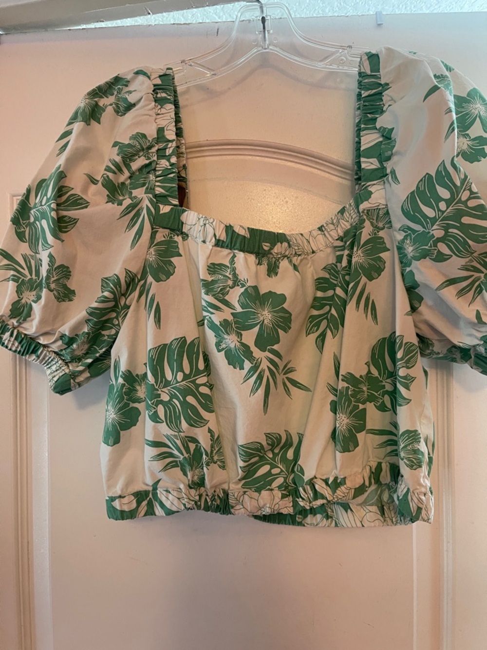 American Eagle Outfitters White and Green Floral Cropped Top